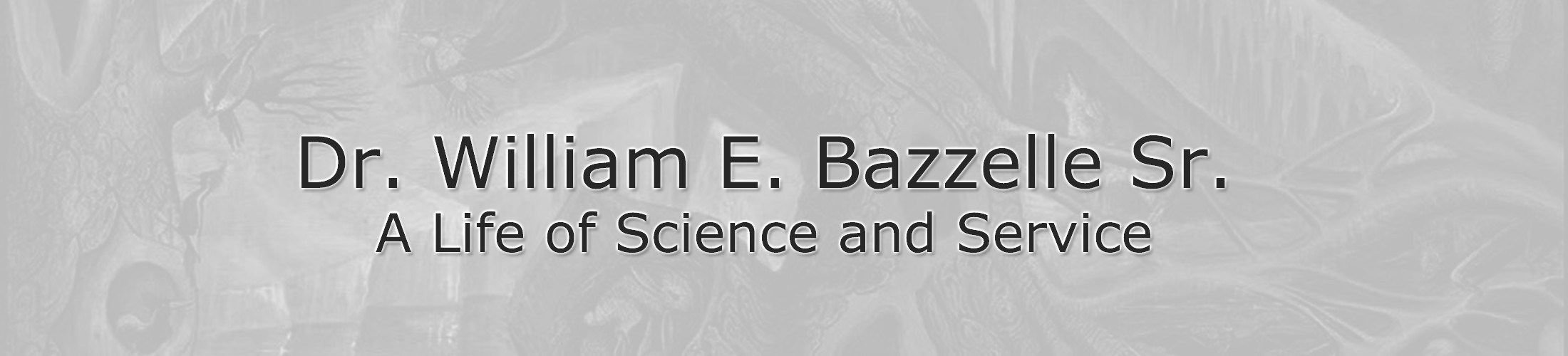 BAZZELLE_HEADER_rev_flat.jpg