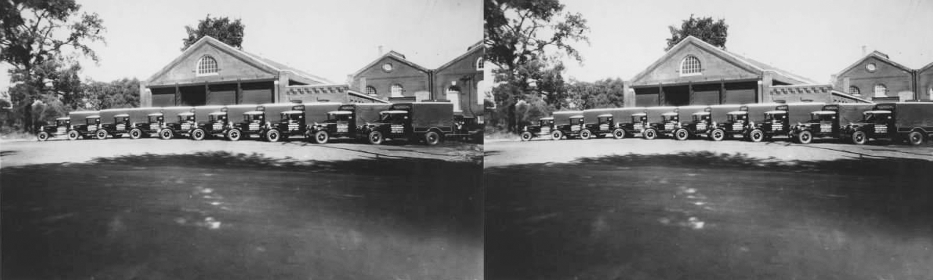 Mushroom_Trucking_Company_Delivery_Truck_Fleet.jpg