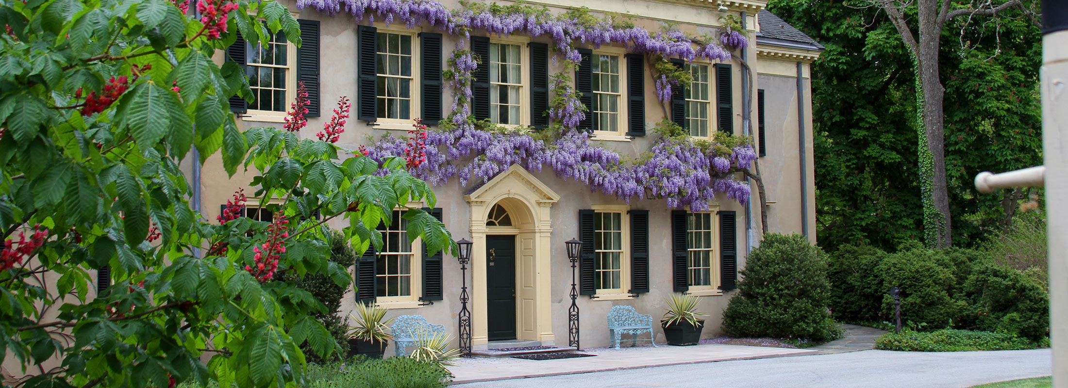banner-2200x800-residence-wisteria.jpg