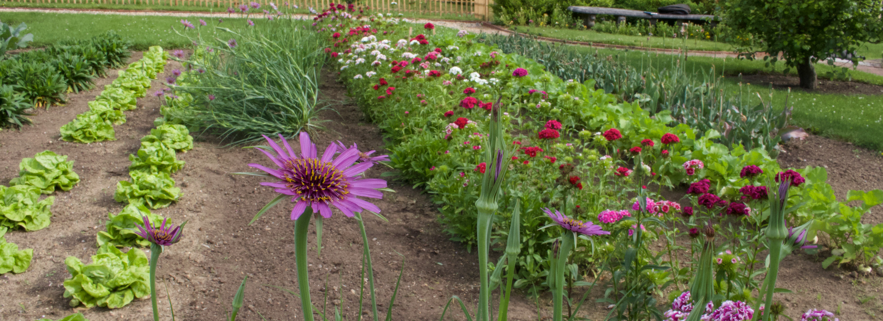 banner-garden-2200x800.jpg