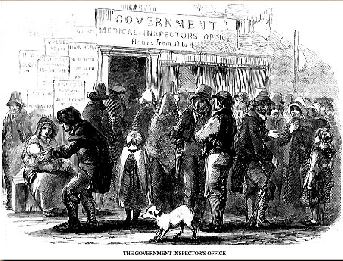 Illustrated London News drawing of the government inspector's office