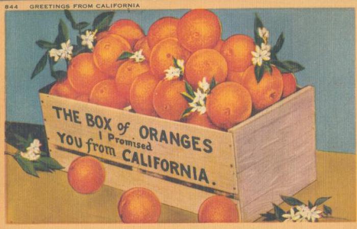 Oranges.jpg