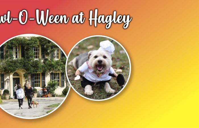event-howl-o-ween.jpg