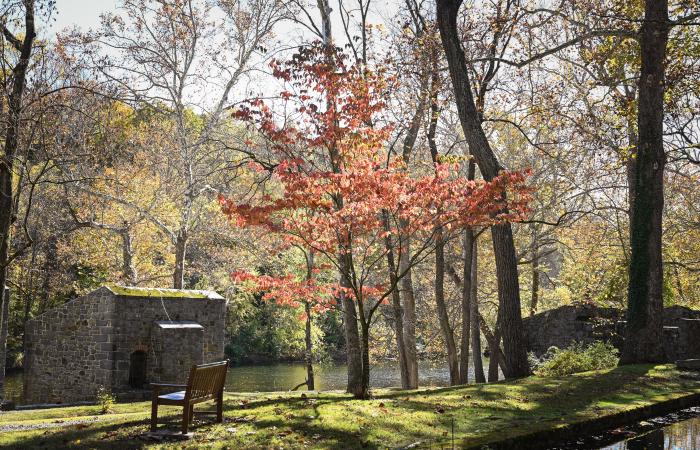 hagley-2022-10-27-fall-foliage (credit Kerry Harrison)-124.jpg