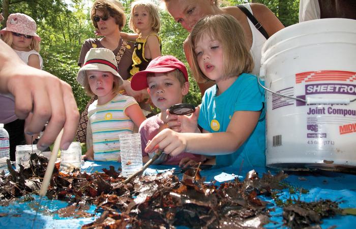 hagley-creek-kids-leaf-packs-rgb9.jpg
