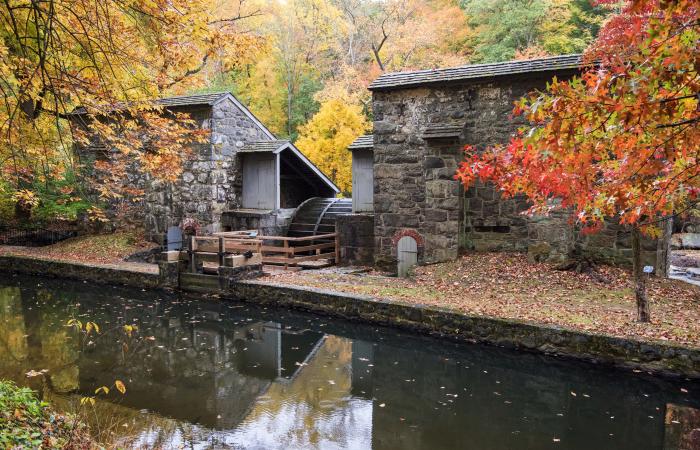 hagley-fall-property-2015-11-02-034.jpg