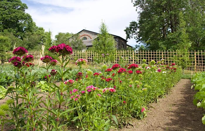 hagley-garden-2019-05-22-(albright)-011-web860.jpg