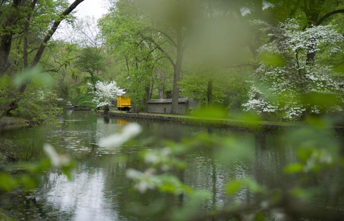 hagley-lower-property-spring-044-print.jpg