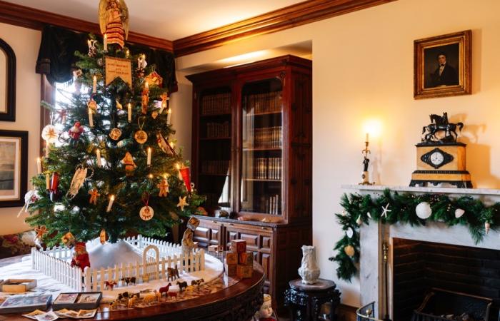 hagley-residence-christmas-2022 (credit Becca Mathias)-055-web860.jpg