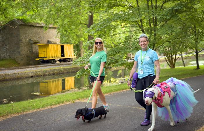 hagley-summer-nights-2024-06-12 (credit Kerry Harrison)-001-WEB.jpg