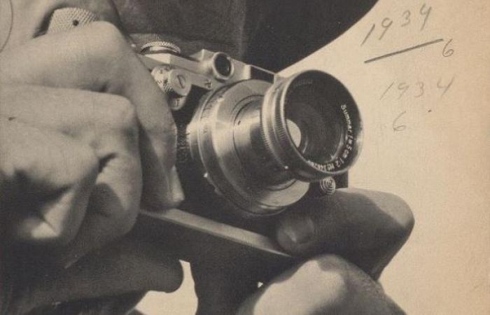 photog.JPG