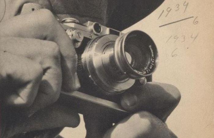 photog.jpeg