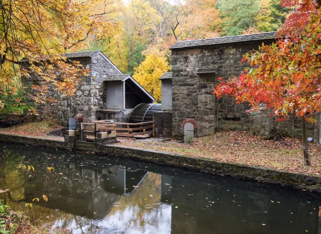 hagley-fall-property-2015-11-02-034.jpg