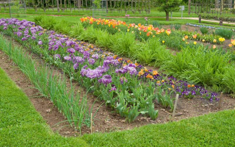garden-01-rows.png