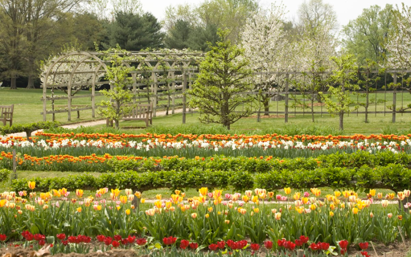 garden-02-arch.png