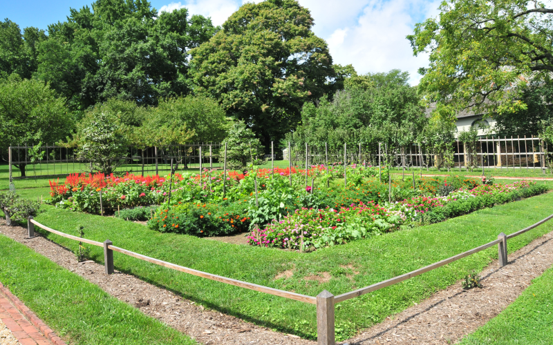 garden-06-spring.png