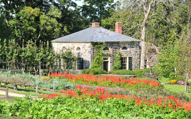 garden-08-first-office-2.png