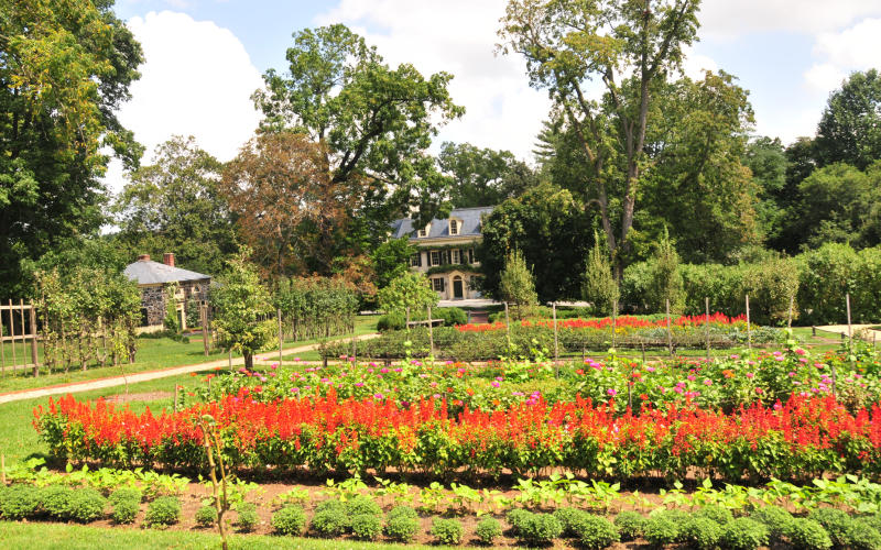 garden-09-overview.png