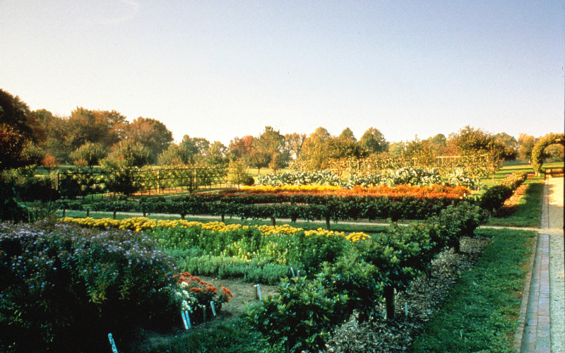 garden-11-fall.png