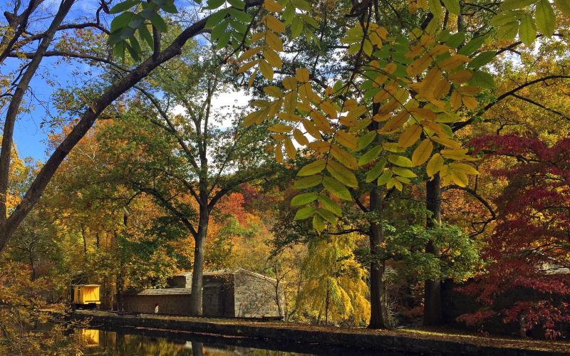 hagley-fall-brandywine (adam albright)-011-print.jpg