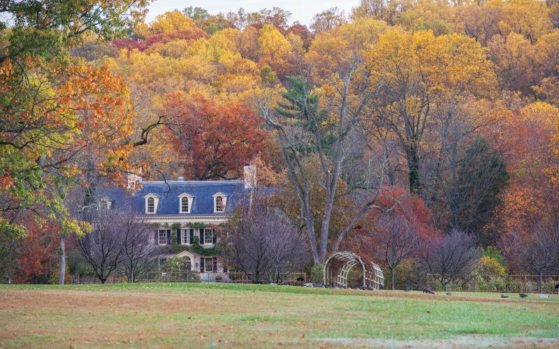 hagley-fall-property-shoot-060-m-print.jpg