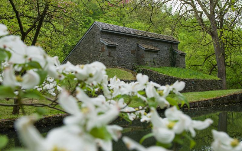 hagley-lower-property-spring-023-print.jpg