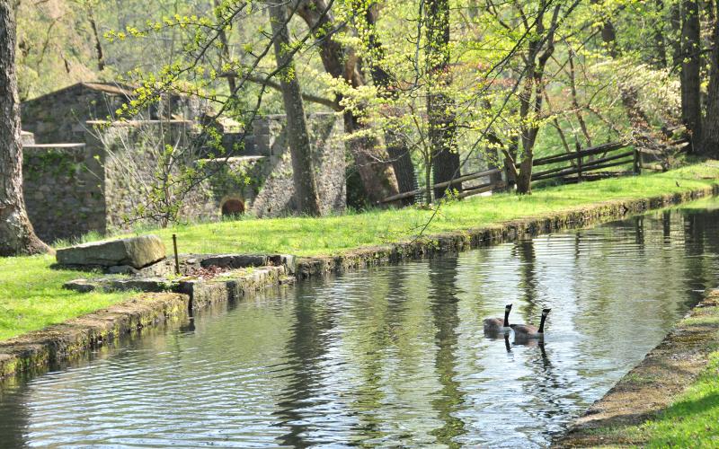 hagley-mills-and-millrace-and-geese-elton-grunden-PRINT.jpg