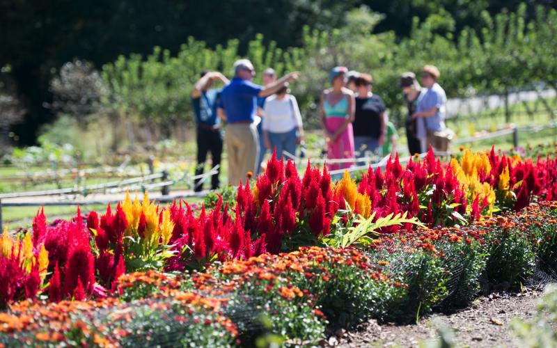 hagley-walking-tour-two-gardens-026-print.jpg
