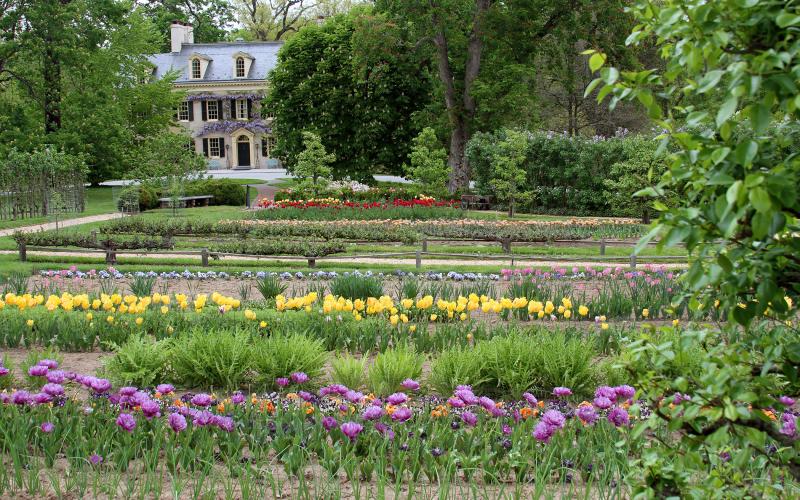 residence-garden-spring (albright)-03-PRINT.jpg