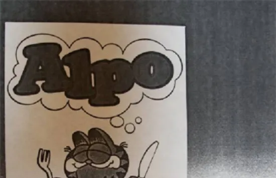 Ambassadors_Alpo_Garfield_Prototypes.jpg