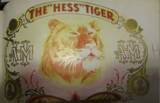 Eyecatchers_Hess_Tiger_Cigar2.jpg