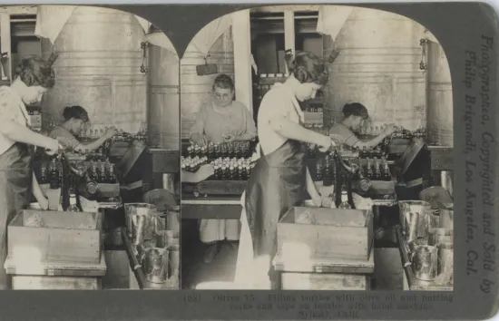 Filling_bottles_with_olive_oil.jpg