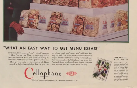 Foods_in.jpg