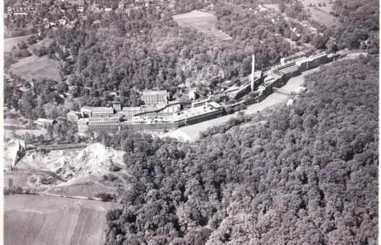 dallin-joseph-bancroft-sons-plant-hagley_70_200_06136.jpg