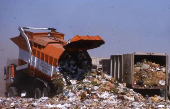 garbage.jpeg