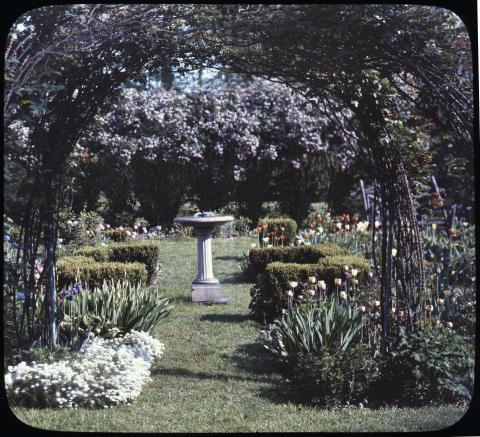 1984217_105.JPG