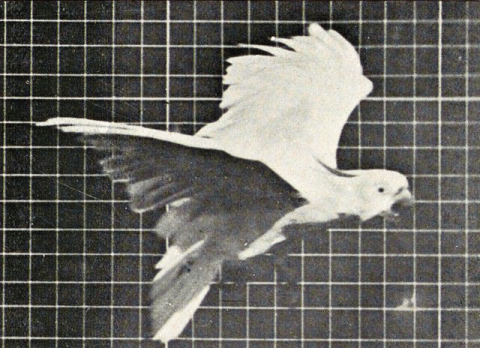 QP301M97_03.gif QP301M97_03.gif