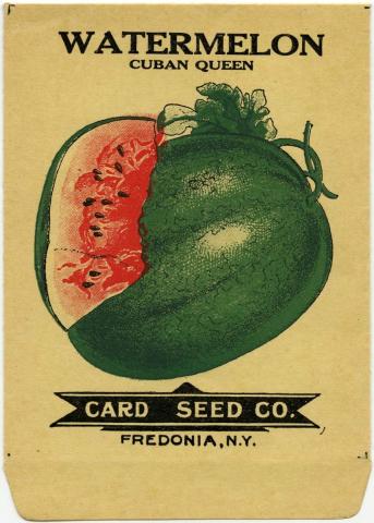 Watermelon.jpg Watermelon.jpg