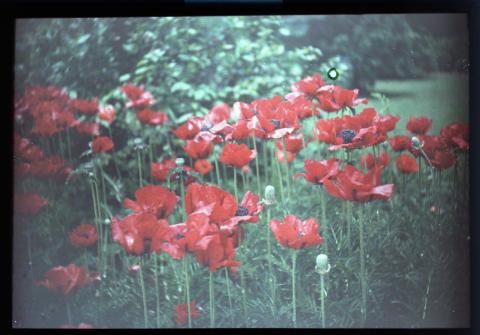 tumblr_e01aa31170d825d965561bb036cee875_c1c4358b_1280.jpg tumblr_e01aa31170d825d965561bb036cee875_c1c4358b_1280.jpg