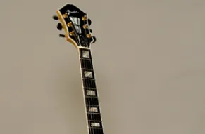 10822FenderDAquistoguitarportrait.jpg