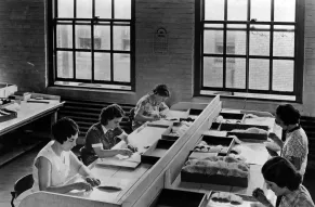 1972341_1241.jpg