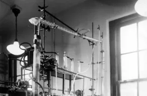 1972341_4442.jpg