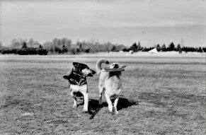 19750210_0021.jpg