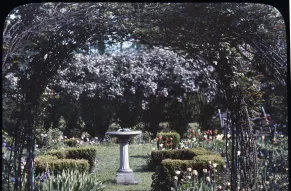 1984217_105.JPG