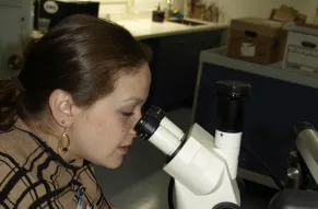 Cassia Balogh examining salt block with camel thongs.jpg