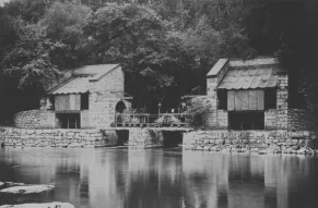 Image 5.jpg