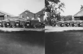 Mushroom_Trucking_Company_Delivery_Truck_Fleet.jpg