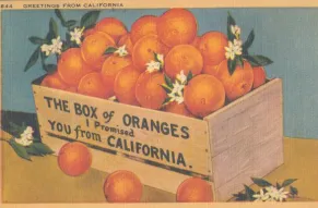 Oranges.jpg