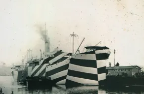 Razzle Dazzle Image 1.jpg