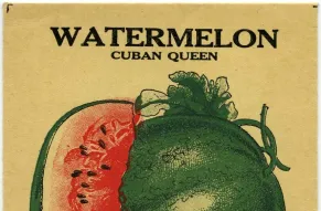 Watermelon.jpg